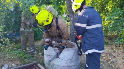 Чоловіка з Кременчуцького району засудили за вбивство матері Чоловіка з Кременчуцького району засудили за вбивство матері
