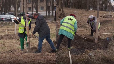 парк зелене господарство сесія парк зелене господарство сесія