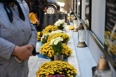 Алея Героїв, квіти, меморіальні таблиці Алея Героїв, квіти, меморіальні таблиці