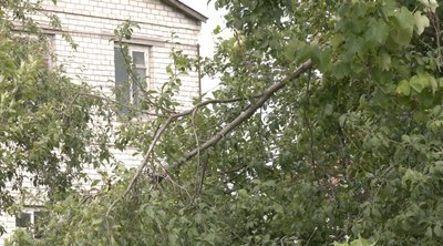 Побило городину, поламало дерева: наслідки негоди 10 червня на Черкащині Побило городину, поламало дерева: наслідки негоди 10 червня на Черкащині