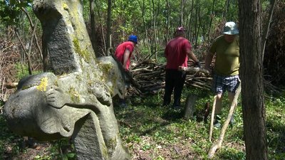 Досліджуватимуть культурне значення цвинтаря та хрестів: у селі на Вінниччині провели толоку Досліджуватимуть культурне значення цвинтаря та хрестів: у селі на Вінниччині провели толоку