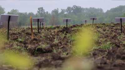 "Робитимемо все, аби відстояти його честь": бригада розповіла про військового, якого не хотіли ховати на Чернігівщині "Робитимемо все, аби відстояти його честь": бригада розповіла про військового, якого не хотіли ховати на Чернігівщині