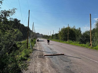На Сумщині триває будівництво “антидронових тунелів” На Сумщині триває будівництво “антидронових тунелів”