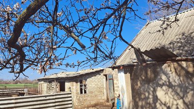 Селище Зелений Гай Комарська громада Донецька область 4 квітня 2025 рік Селище Зелений Гай Комарська громада Донецька область 4 квітня 2025 рік