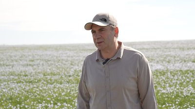 Витримує посуху й очищає ґрунт: чому на Кіровоградщині збільшують посіви льону Витримує посуху й очищає ґрунт: чому на Кіровоградщині збільшують посіви льону