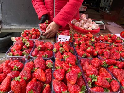 Полуниця на Житньому ринку Житомира: що пропонують продавці та скільки коштує ягода Полуниця на Житньому ринку Житомира: що пропонують продавці та скільки коштує ягода