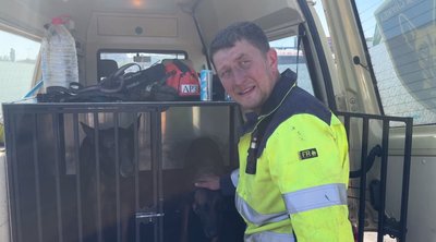 Другий день пошуково-рятувальної операції у Кривому Розі: що відбувається на місці удару РФ Другий день пошуково-рятувальної операції у Кривому Розі: що відбувається на місці удару РФ