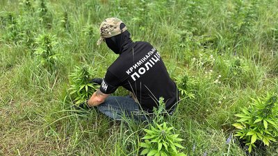 Вирощували наркотики й продавали: на Чернігівщині правоохоронці затримали підозрюваних у наркоторгівлі Вирощували наркотики й продавали: на Чернігівщині правоохоронці затримали підозрюваних у наркоторгівлі