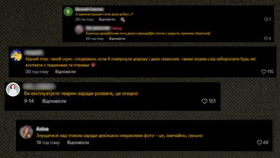 "Для птаха це — грань смерті» Троє жінок зловили гусака у Дніпрі для фотосесії "Для птаха це — грань смерті» Троє жінок зловили гусака у Дніпрі для фотосесії