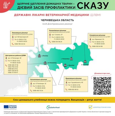 Де на Буковині можна безплатно вакцинувати тварин проти сказу – перелік адрес Де на Буковині можна безплатно вакцинувати тварин проти сказу – перелік адрес
