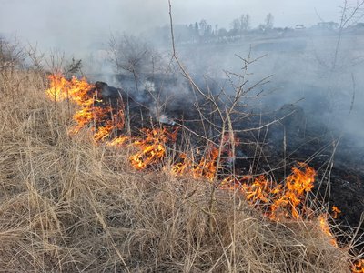 Поблизу Тернополя гасять пожежу в гідрологічному заказнику Поблизу Тернополя гасять пожежу в гідрологічному заказнику