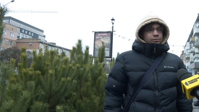 Ялинкові ярмарки у Житомирі: ціни на ялинки та що обирають містяни цього року Ялинкові ярмарки у Житомирі: ціни на ялинки та що обирають містяни цього року