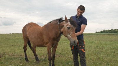 тернопіль, василь ніколюк, 13 червня 2026 року тернопіль, василь ніколюк, 13 червня 2026 року