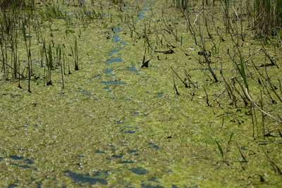 Каховське водосховище – пастка для військових РФ: як Сили оборони зривають штурми на Оріхівському напрямку Каховське водосховище – пастка для військових РФ: як Сили оборони зривають штурми на Оріхівському напрямку