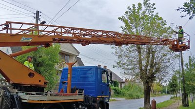 Американський білий метелик на Волині: як у Ковельській громаді борються зі шкідником Американський білий метелик на Волині: як у Ковельській громаді борються зі шкідником