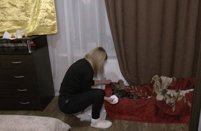 Він лупцює, а вона – любить: історії травмованих людьми тварин з Черкащини Він лупцює, а вона – любить: історії травмованих людьми тварин з Черкащини