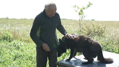Понад 60 років живе у будинку на пагорбі: історія жителя Пересопниці Миколи Понад 60 років живе у будинку на пагорбі: історія жителя Пересопниці Миколи
