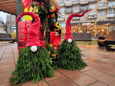 У Черкасах у сквері "Юність" встановили новорічну ялинку У Черкасах у сквері "Юність" встановили новорічну ялинку