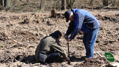 В пам'ять про загиблого лісівника Олександра Кротенка на Чернігівщини висадили понад 13 тисяч дерев В пам'ять про загиблого лісівника Олександра Кротенка на Чернігівщини висадили понад 13 тисяч дерев