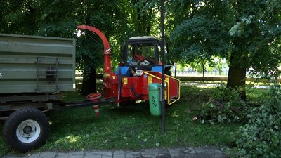 Негода на Житомирщині: повалені дерева та обірвані лінії електропередач Негода на Житомирщині: повалені дерева та обірвані лінії електропередач