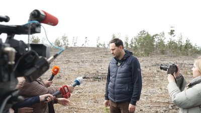 "Нещадно знищили": як відновлюють ліс після найбільшої в Україні незаконної вирубки на Рівненщині "Нещадно знищили": як відновлюють ліс після найбільшої в Україні незаконної вирубки на Рівненщині