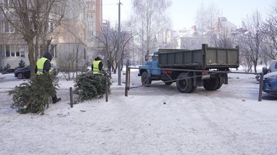 У Вінниці триває сезон утилізації новорічних дерев У Вінниці триває сезон утилізації новорічних дерев