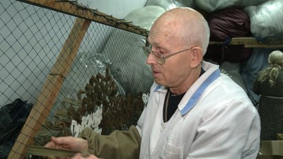 Або ти воюєш, або допомагаєш: як чернігівські волонтери плетуть сітки, роблять маскувальні костюми та матраци для ЗСУ Або ти воюєш, або допомагаєш: як чернігівські волонтери плетуть сітки, роблять маскувальні костюми та матраци для ЗСУ