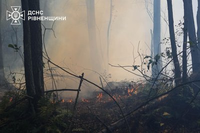 "Загроза для населених пунктів": горить лісовий масив між селами на Рівненщині "Загроза для населених пунктів": горить лісовий масив між селами на Рівненщині