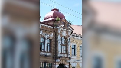 дерева на даху дерева на даху