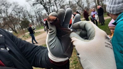У Кропивницькому випустили в природу врятованих кажанів