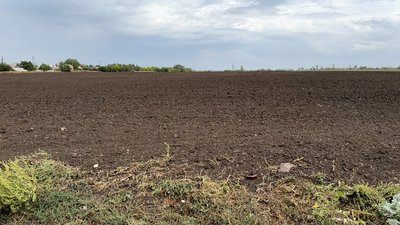 Посівна озима пшениця поле сільське господарство фермерство прифронтова Іллінівська громада Донецька область 10 вересня 2024 рік Посівна озима пшениця поле сільське господарство фермерство прифронтова Іллінівська громада Донецька область 10 вересня 2024 рік