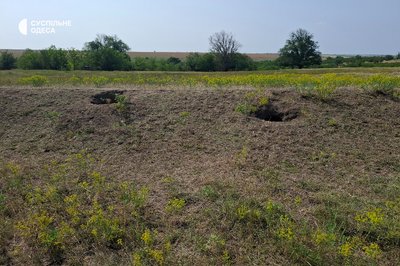 Кулани, олені та байбаки — нові жителі заповідника "Асканія-Нова" на Одещині