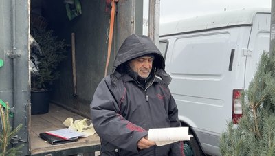 "Є документи на дерева?". Як у Сумах працює ялинковий базар