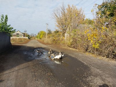 "Увесь час страшно". Життя у прикордонній Білопільській громаді на Сумщині "Увесь час страшно". Життя у прикордонній Білопільській громаді на Сумщині