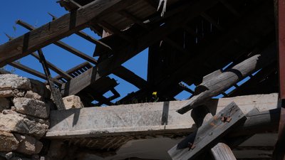 На даху зруйнованого будинку в селищі Луч, що на Миколаївщині, проростає квітка На даху зруйнованого будинку в селищі Луч, що на Миколаївщині, проростає квітка