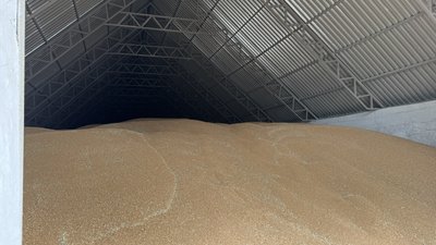 Зменшення експорту агропродукції: як це впливає на аграріїв Кіровоградщини Зменшення експорту агропродукції: як це впливає на аграріїв Кіровоградщини