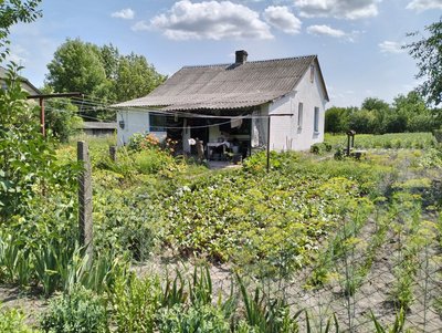Життя за розкладом господарства: подружжя з Волині чекає двох синів з війни Життя за розкладом господарства: подружжя з Волині чекає двох синів з війни
