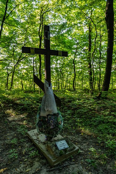 "Місця пам'яті про УПА": у Рівному презентували портал незареєстрованих пам'яток "Місця пам'яті про УПА": у Рівному презентували портал незареєстрованих пам'яток