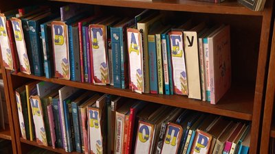 Книги у одній із бібліотек Красилівської тергромади Книги у одній із бібліотек Красилівської тергромади
