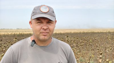 "Страшенний неврожай": посуха завдала збитків аграріям Миколаївщини "Страшенний неврожай": посуха завдала збитків аграріям Миколаївщини