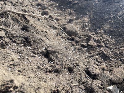 "Закриваємо вологу": на Полтавщині аграрії розпочали підготовку до посівної "Закриваємо вологу": на Полтавщині аграрії розпочали підготовку до посівної