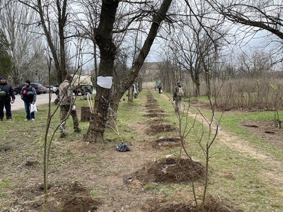 Подарунок від Києва: у Бузковому парку Херсона висадили 70 кущів бузку Подарунок від Києва: у Бузковому парку Херсона висадили 70 кущів бузку
