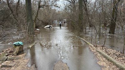 Підтоплення притулку "Бім" у Кропивницькому: 200 собак чекають евакуації