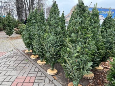 Від 200 гривень до 40 тисяч: у Черкасах стартував ялинковий ярмарок Від 200 гривень до 40 тисяч: у Черкасах стартував ялинковий ярмарок