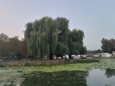 Парк культури і відпочинку імені Михайла Чекмана Парк культури і відпочинку імені Михайла Чекмана