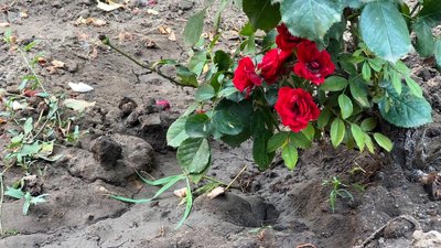 Вода проблема літо централізоване водопостачання жителі Костянтинівка Донецька область Вода проблема літо централізоване водопостачання жителі Костянтинівка Донецька область