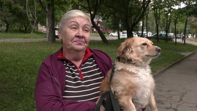 Безплатне щеплення домашніх котів і собак від сказу розпочали у Рівненській громаді Безплатне щеплення домашніх котів і собак від сказу розпочали у Рівненській громаді