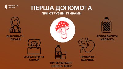На Криворіжжі родина отруїлася грибами: серед них — підліток На Криворіжжі родина отруїлася грибами: серед них — підліток