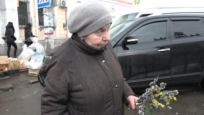 Не штрафуватимуть, якщо є довідка: житомирські екологи про продаж первоцвітів