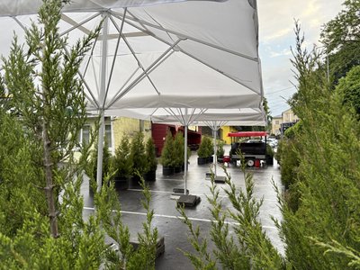Літній майданчик на паркувальних місцях на вулиці Ольги Гузар у Чернівцях Літній майданчик на паркувальних місцях на вулиці Ольги Гузар у Чернівцях